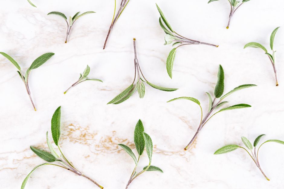 A Step-by-Step Look at Seasonal Changes And How The Body Responds