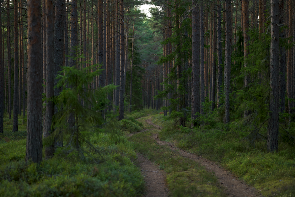 A Step-by-Step Look at The Importance Of Personal Well-Being