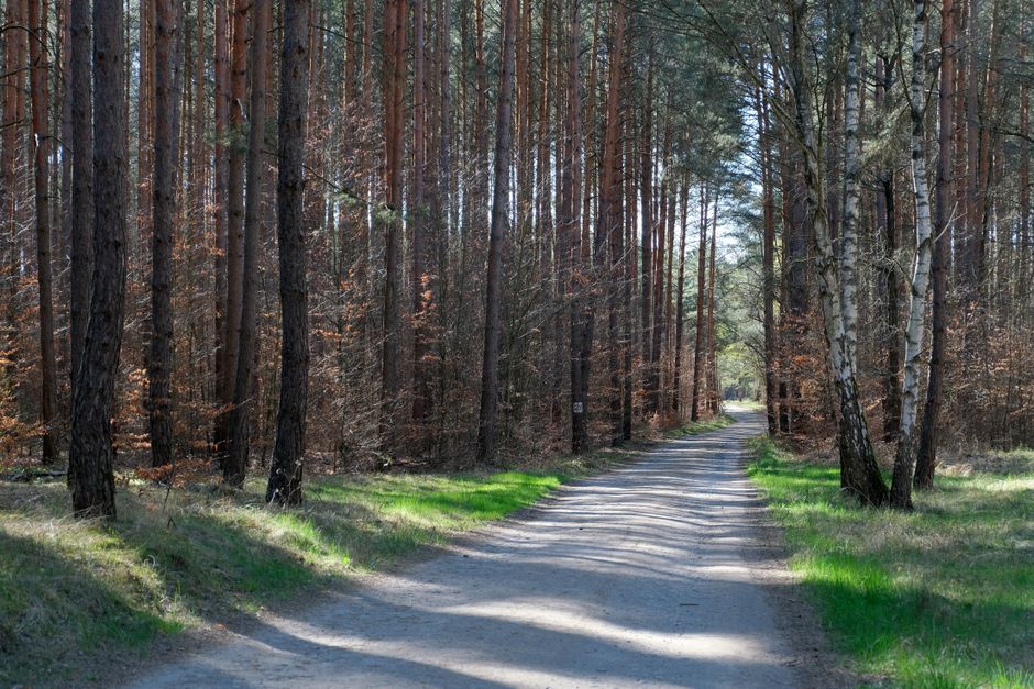 How to Build Daily Routines That Lower Decision Fatigue