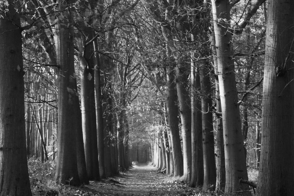 Building a Daily Routine Around Stress That Helps And Stress That Wears
