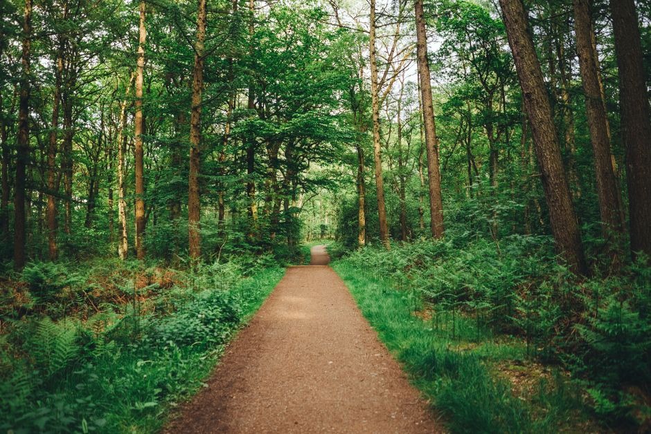 Building Positive Daily Routines When You're Short on Time