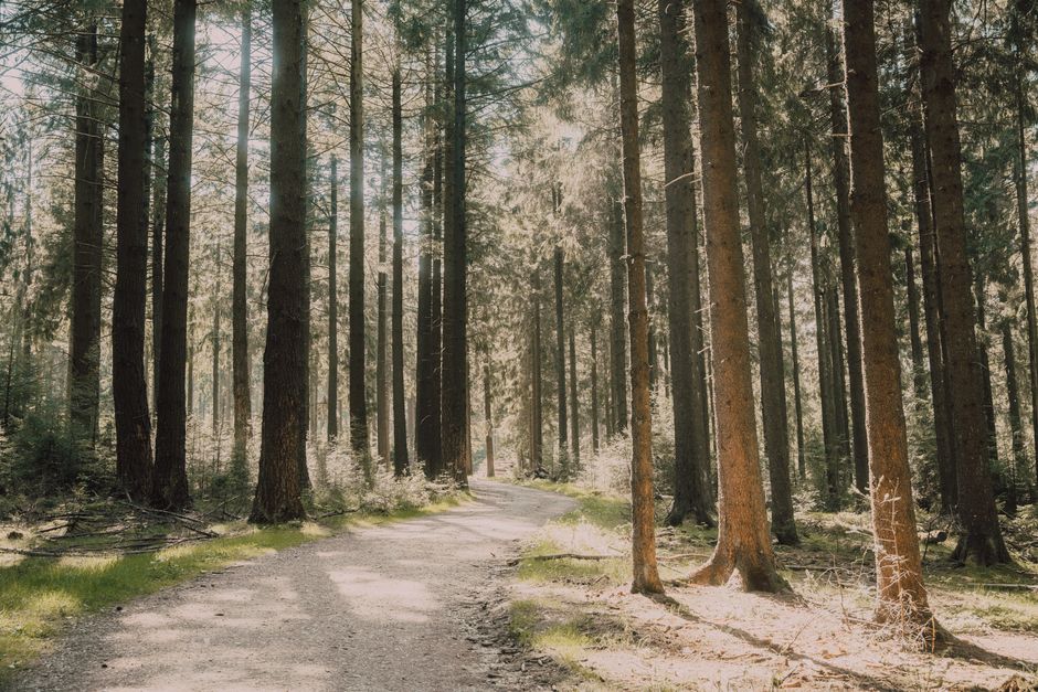 Care, Compassion And The People Around Us: Practical Steps You Can Use