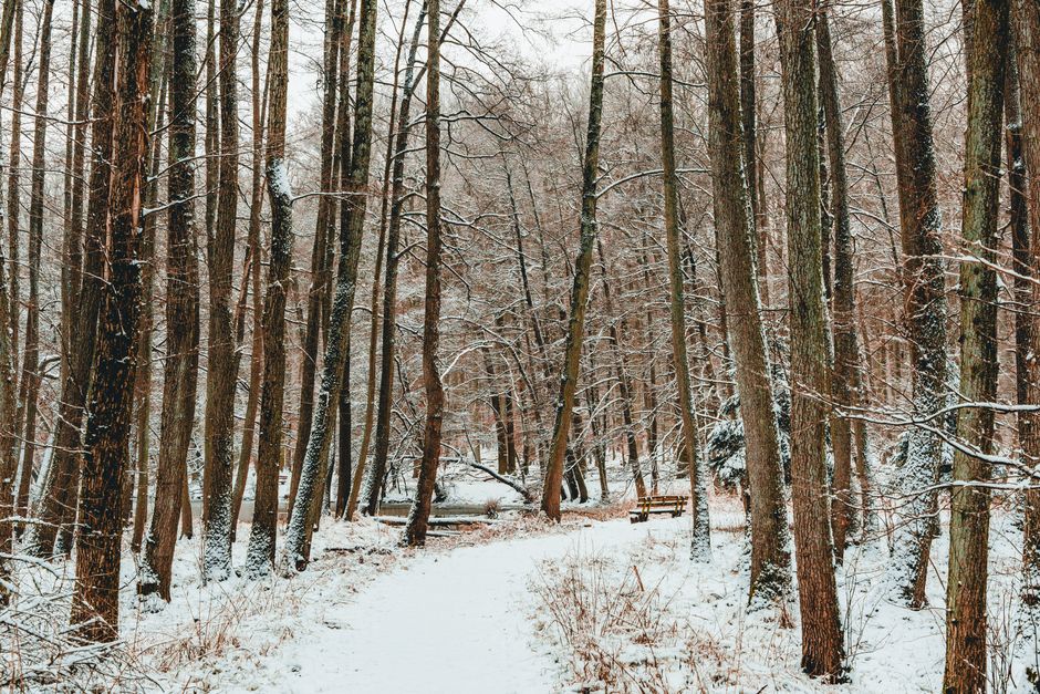 Fixing Mental Fatigue: How Daily Habits Refuel Your Mind