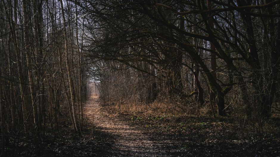 Health And Uncertainty: Making It Part of Your Day