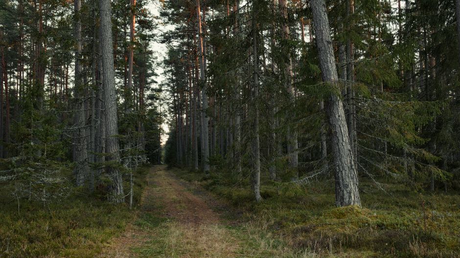 Health And Uncertainty: What Not to Do