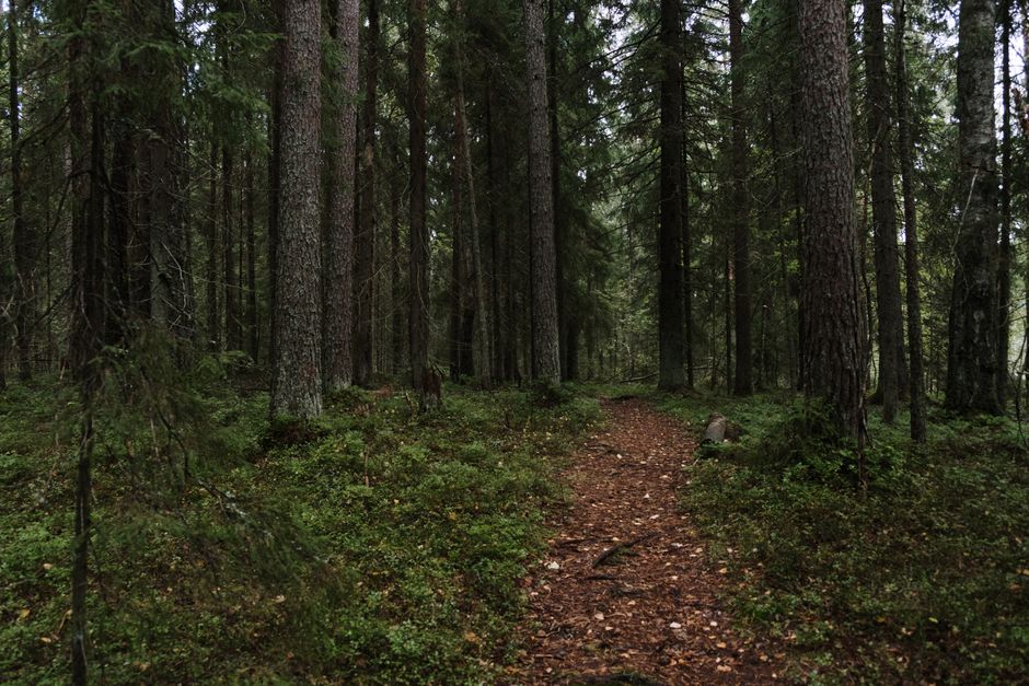 Health As A Daily Practice: Sorting Fact From Fiction
