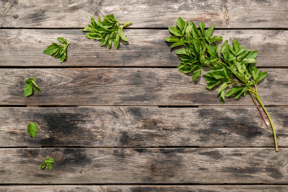 Herbs And Botanicals: A Cautious Look as the Years Add Up, Step by Step