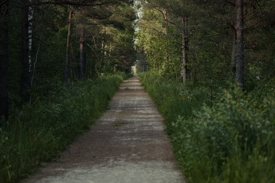 How Self-Compassion Keeps Your Health Habits on Track