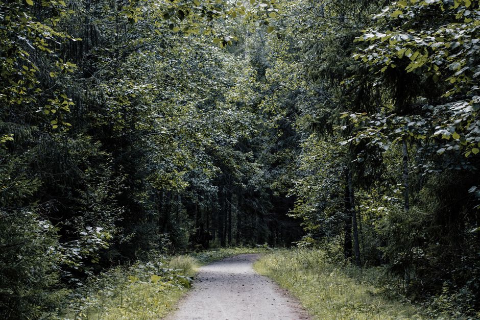 Mental Health Is Health: Making It Part of Your Day