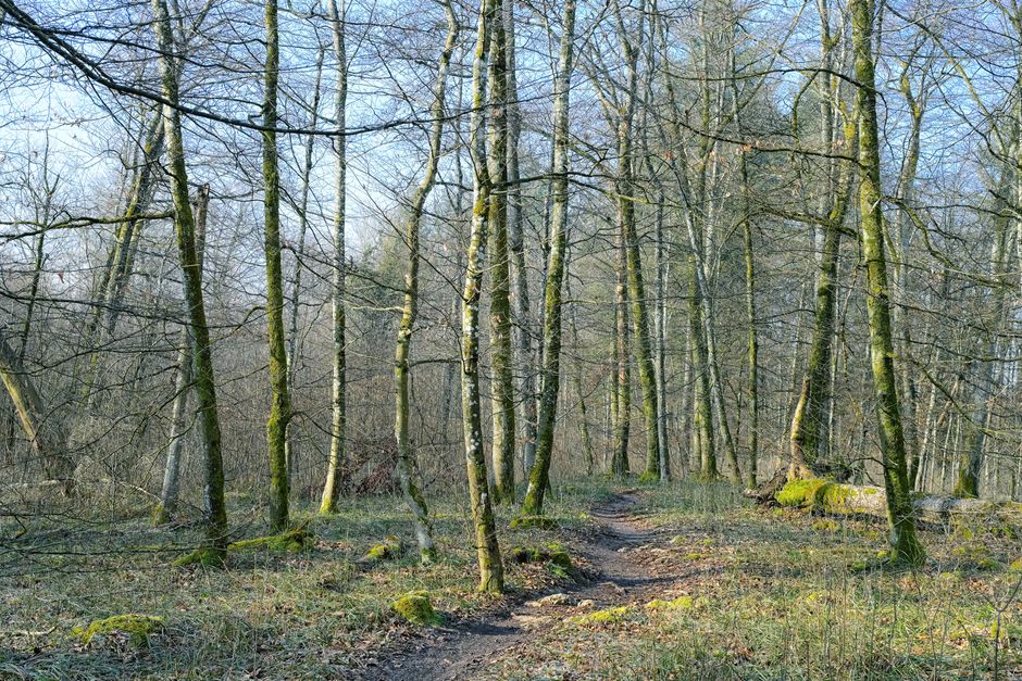 Motivation, Discipline And Self-Compassion in Your 40s, 50s and Beyond