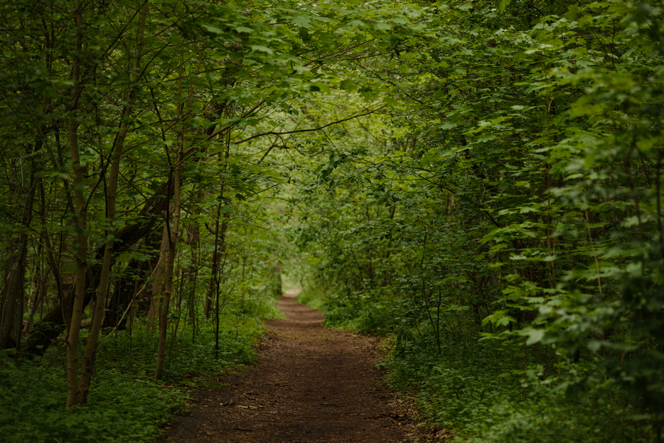 Small Lifestyle Changes That Matter: Myths and Facts