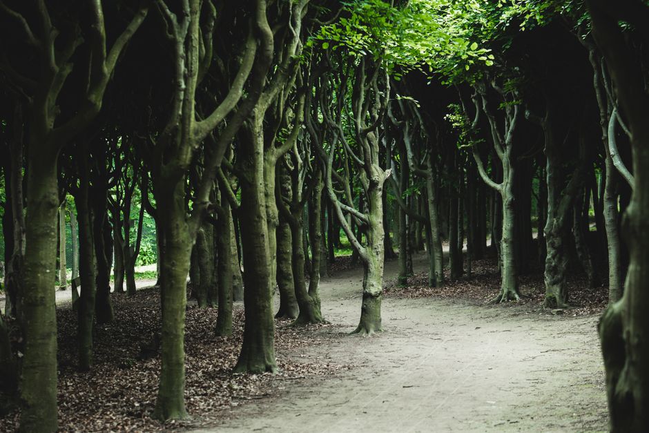 Small Lifestyle Changes That Matter: Practical Steps You Can Use