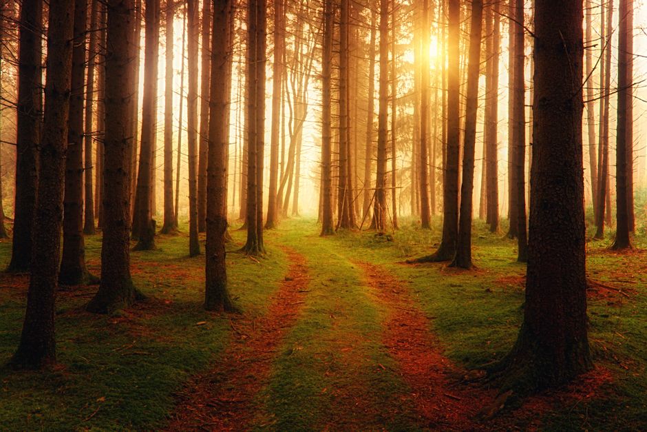 The Connection Between Body And Mind: Practical Steps You Can Use — Part 2