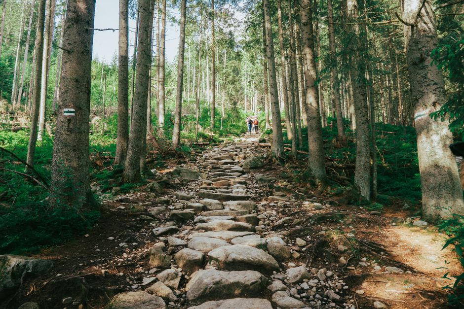 The Pleasure Principle In Healthy Living for Busy People