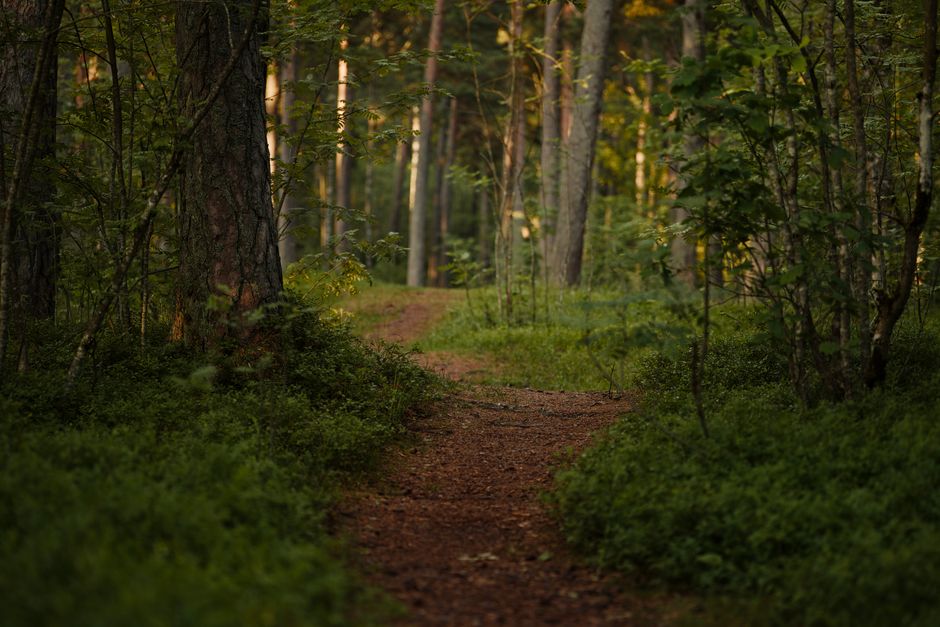 The Truth About The Social Side Of Well-Being