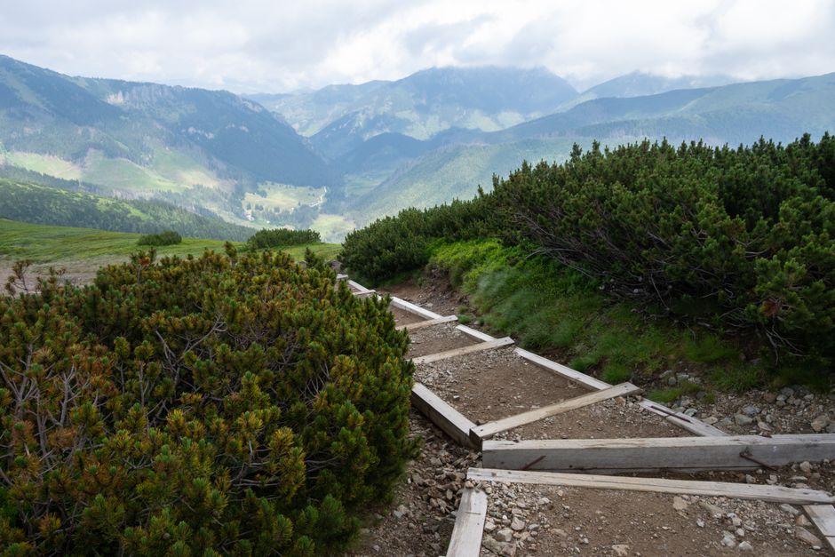 The Truth About Walking: The Most Underrated Exercise