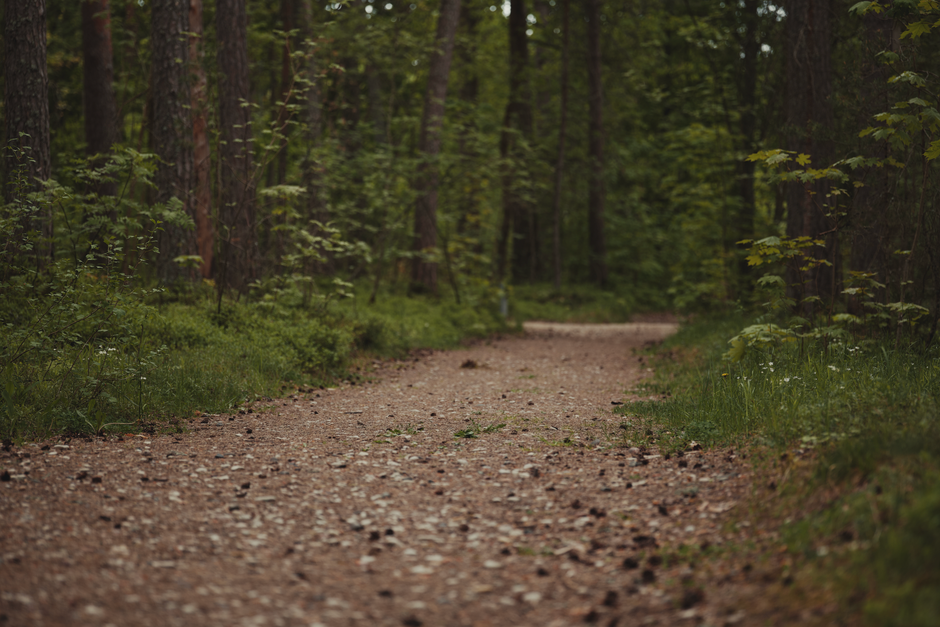 The Truth About Wellness Without Perfectionism