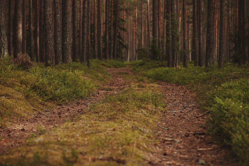 Time, Attention And Health: Where to Start