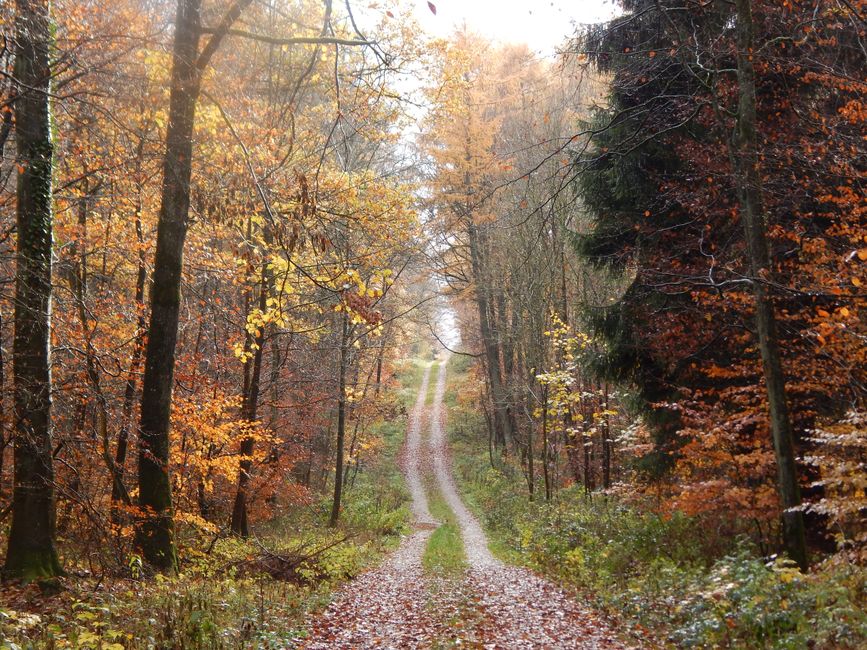 Understanding Health And Wellness: Sorting Fact From Fiction — Part 2