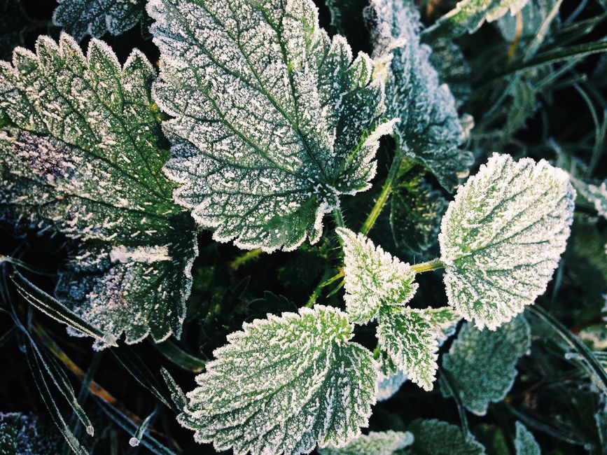 Understanding Hydration, Breath And The Overlooked Basics in Plain Terms — Part 2