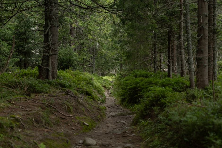 Understanding The Importance Of Personal Well-Being in Plain Terms