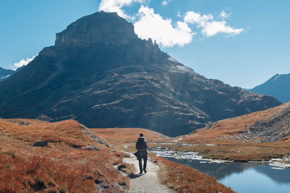 What Nobody Tells You About Walking: The Most Underrated Exercise, for Real Life