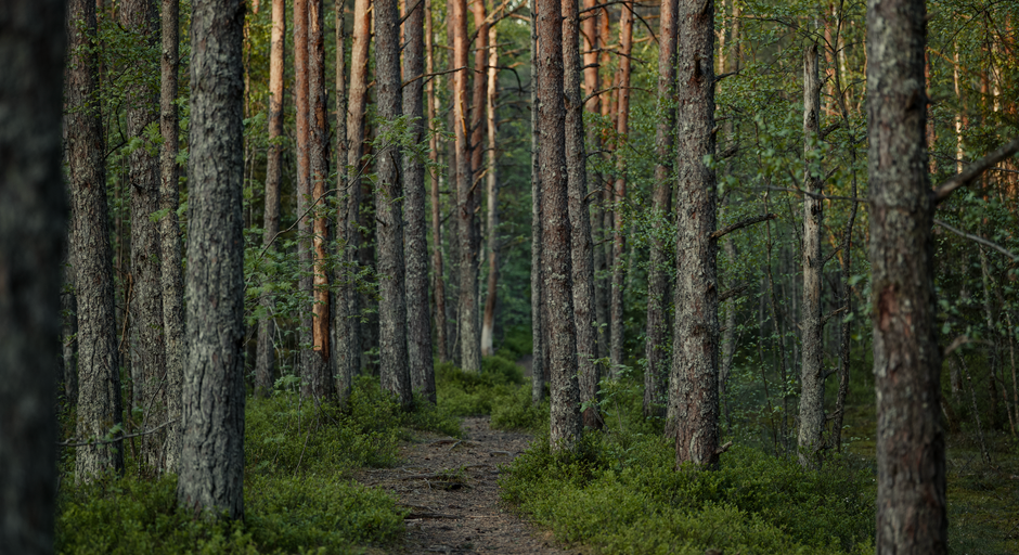 Where People Go Wrong With Building Positive Daily Routines