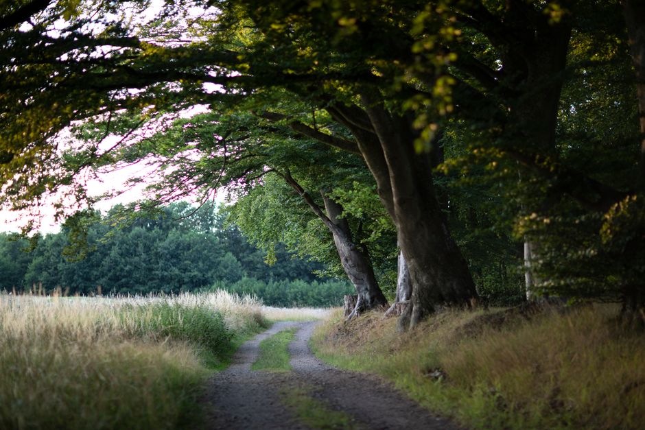 Where People Go Wrong With Time, Attention And Health
